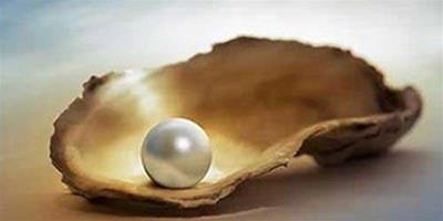 珍珠的采收和處理方法