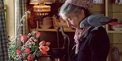 塔莎奶奶的美好生活，92歲隱居山間，活成了仙女的模樣！