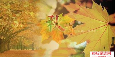 秋天的唯美散文：一片落葉渲染了秋色