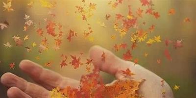 秋天落葉的唯美句子，傾聽，一葉知秋的美麗!